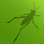 grasshopper软件