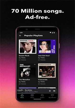 TIDAL音乐官方app